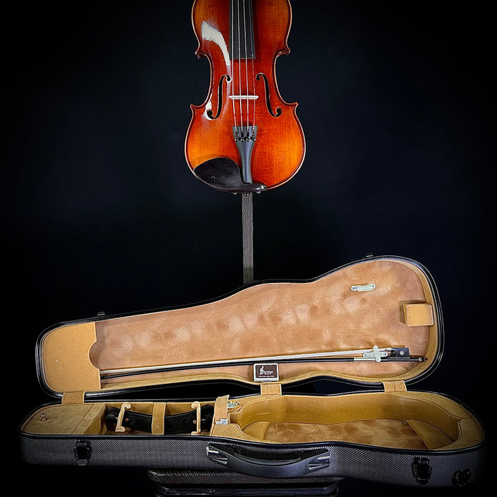 Albini Violin Package (Sizes 4/4, 3/4, 1/2, 1/4)