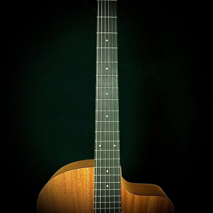Taylor 24CE - Mahogany Top