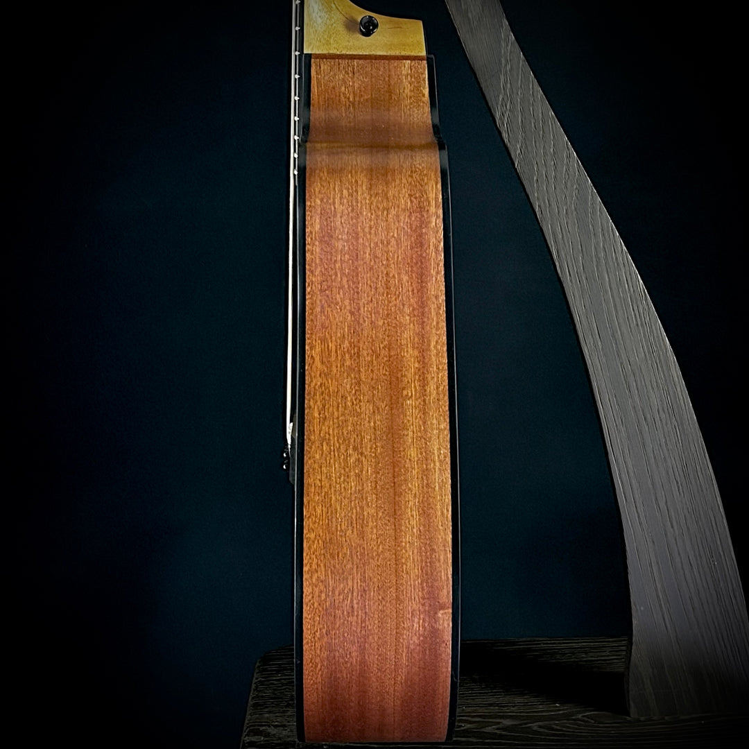 Taylor 150CE - 12-String