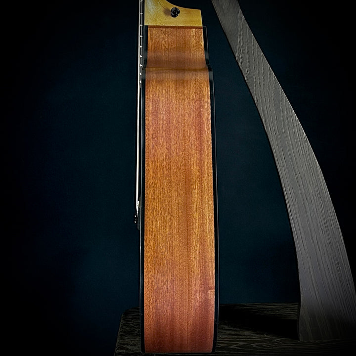 Taylor 150CE - 12-String