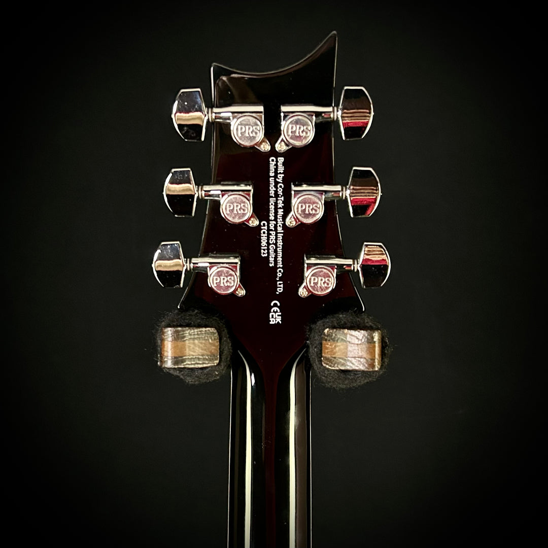 PRS SE Hollowbody Standard Piezo