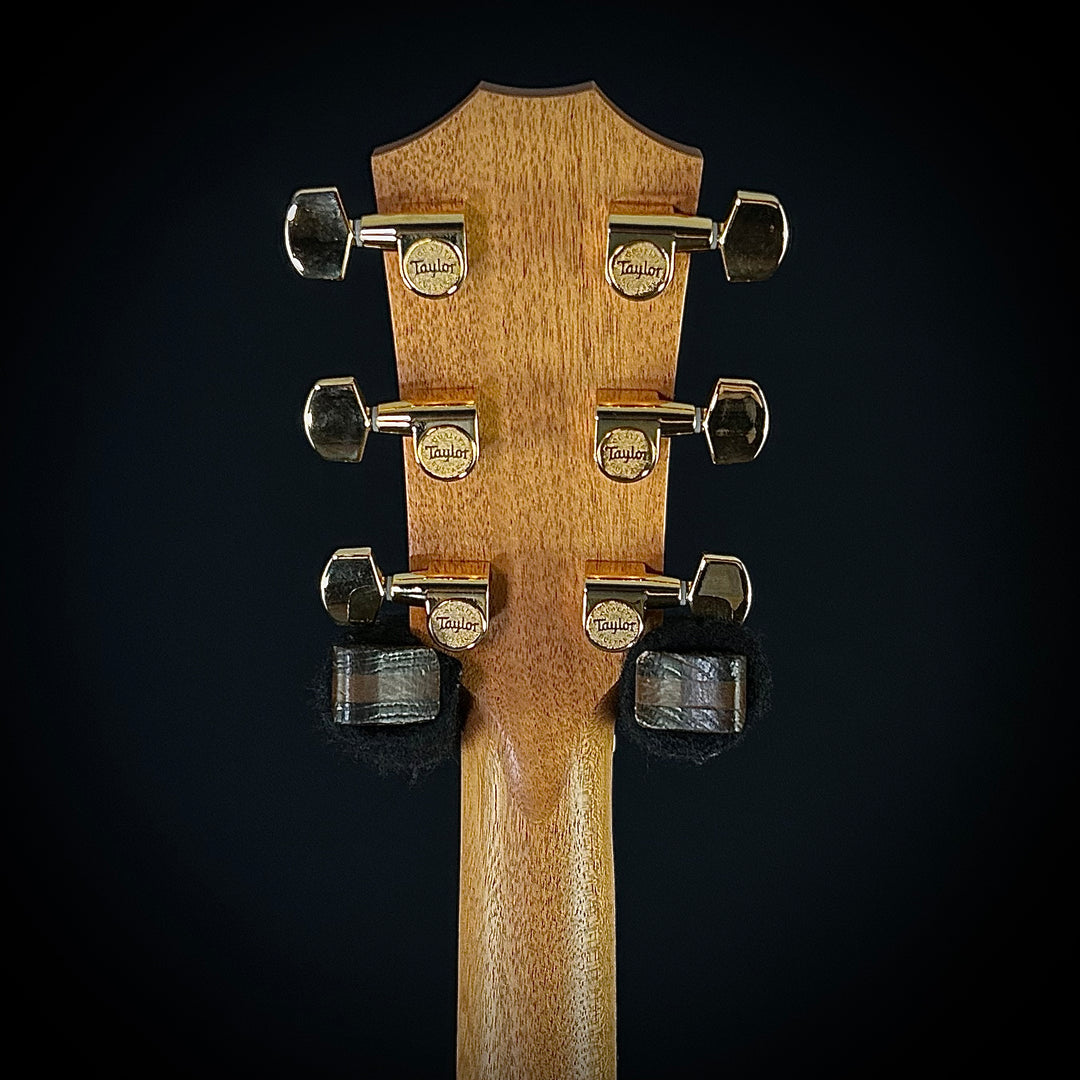 Taylor 224ce-K DLX