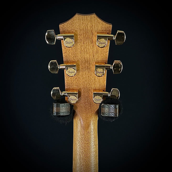 Taylor 224ce-K DLX