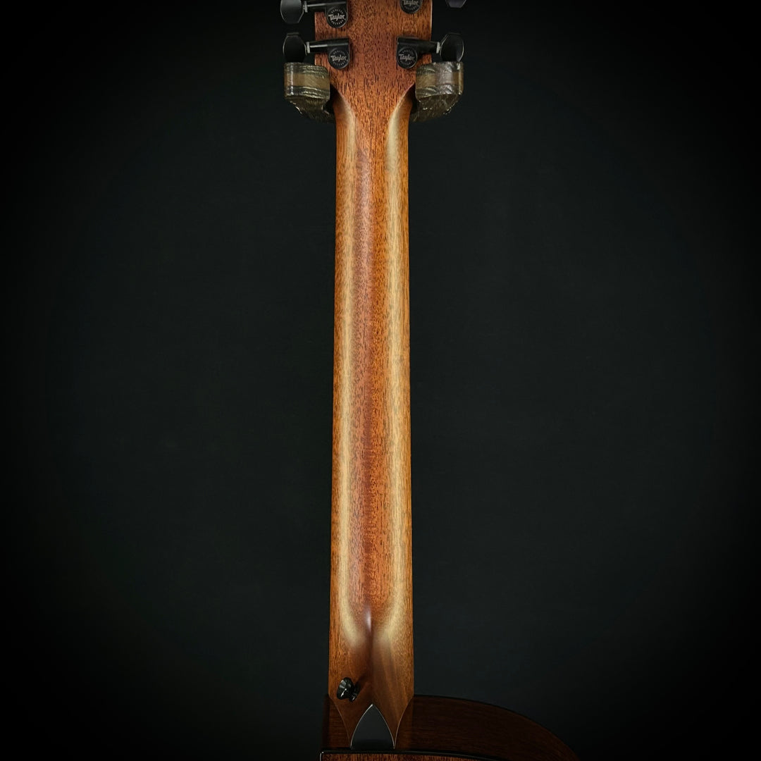 Taylor MV Custom 9-String - Grand Auditorium