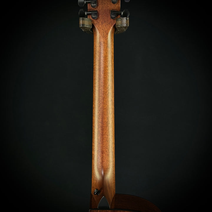 Taylor MV Custom 9-String - Grand Auditorium