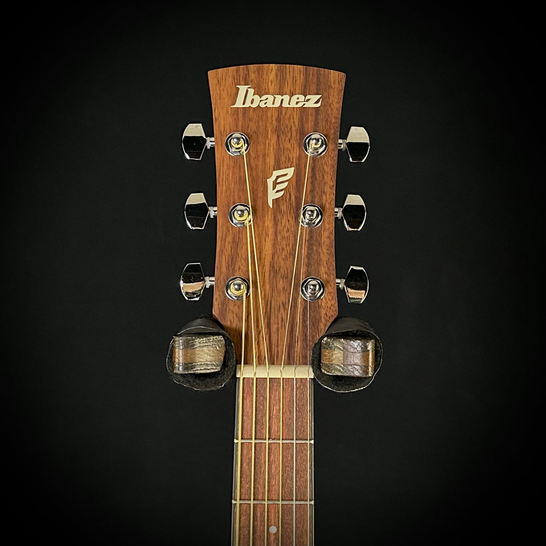 Ibanez PN2 Parlor