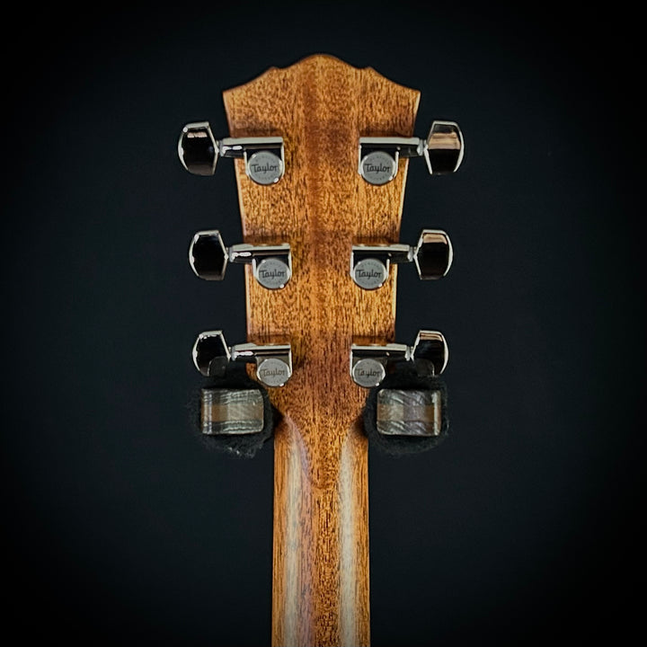 Taylor Gold Label 517E-SB