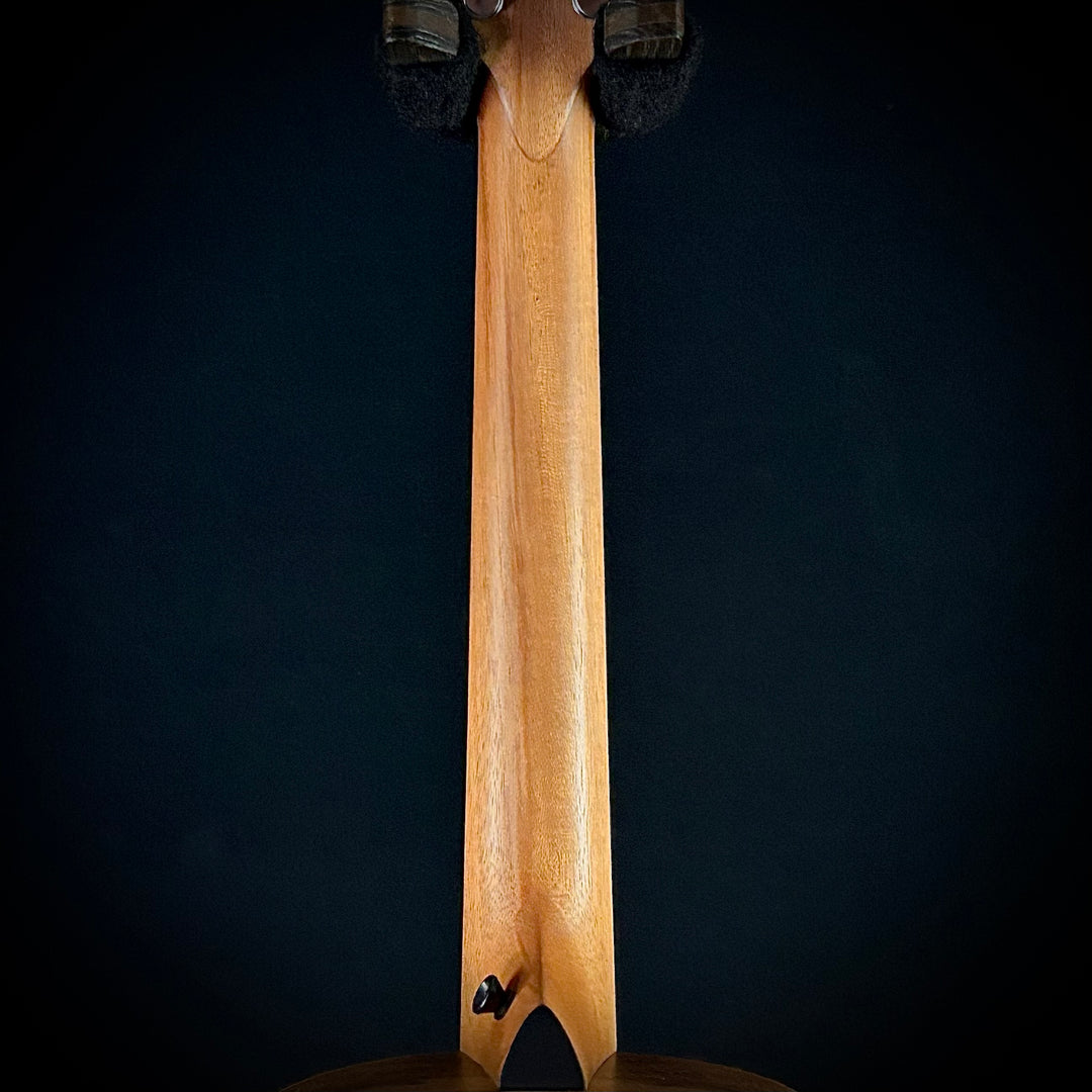 Taylor GS Mini-e-Koa