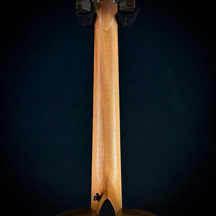 Taylor GS Mini-e-Koa