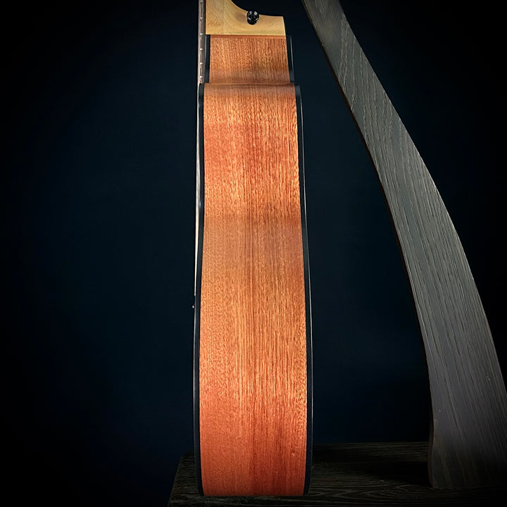Taylor 114ce - Sapele