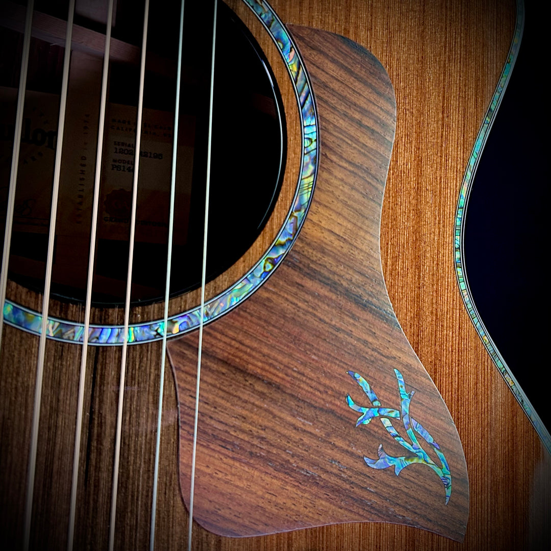 Taylor PS14ce (USED)