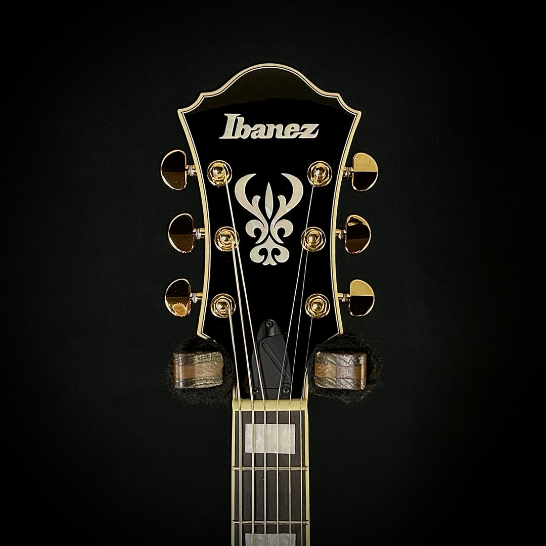 Ibanez Artcore Expressionist AF95FM
