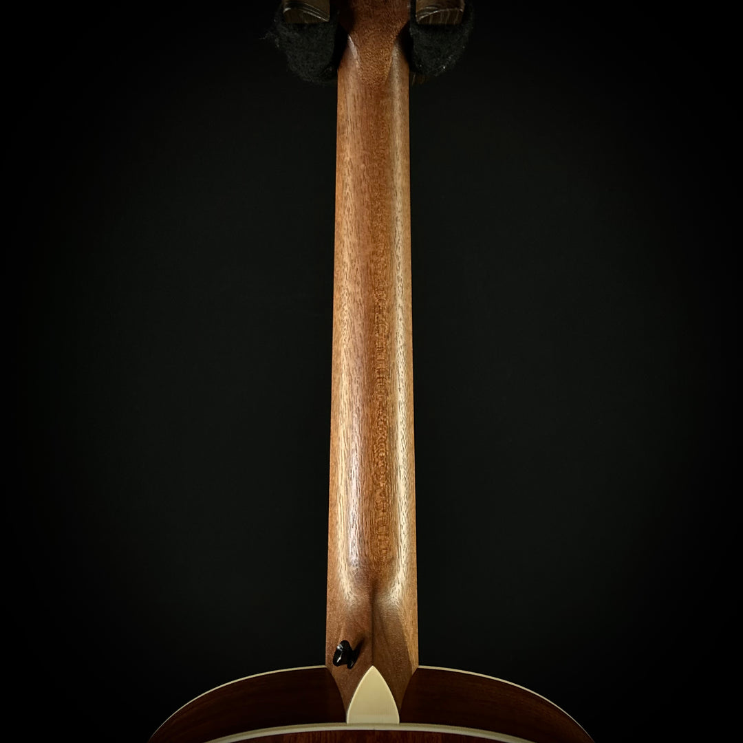 Taylor C17 MV Custom - Mahogany
