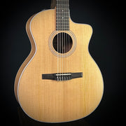 Taylor 214CE-Nylon