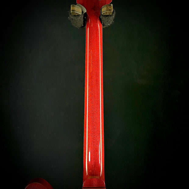 Gibson Firebird Platypus