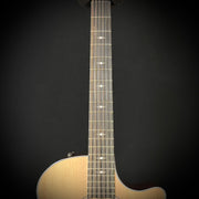 Taylor 354CE 12-String