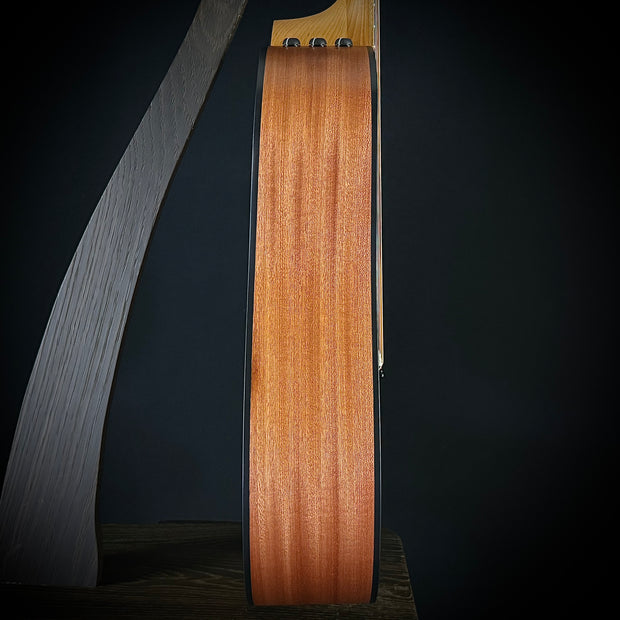 Taylor 110CE - Sapele