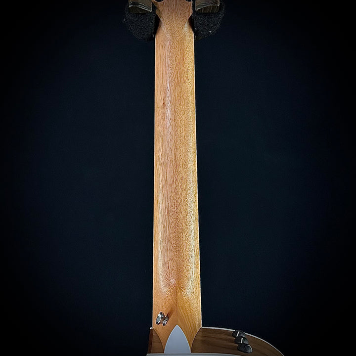 Taylor 214CE-Nylon