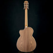 Taylor 214CE-Nylon