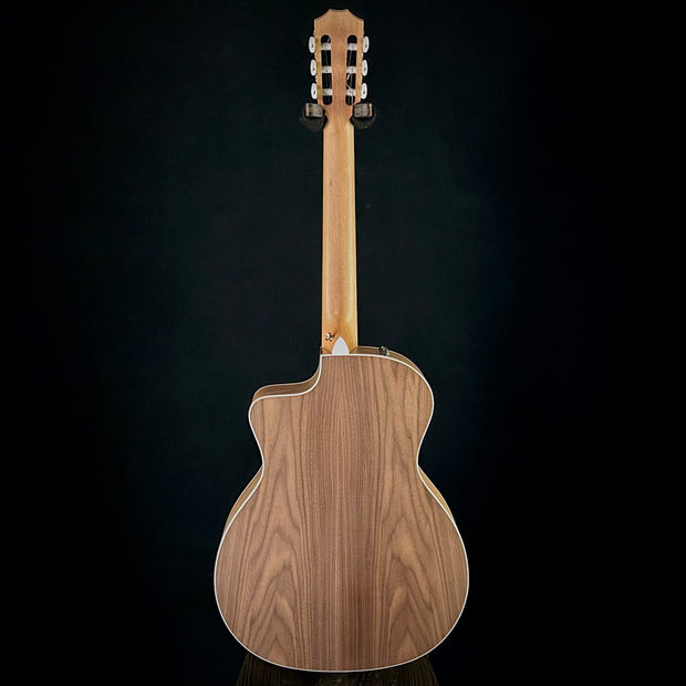 Taylor 214CE-Nylon