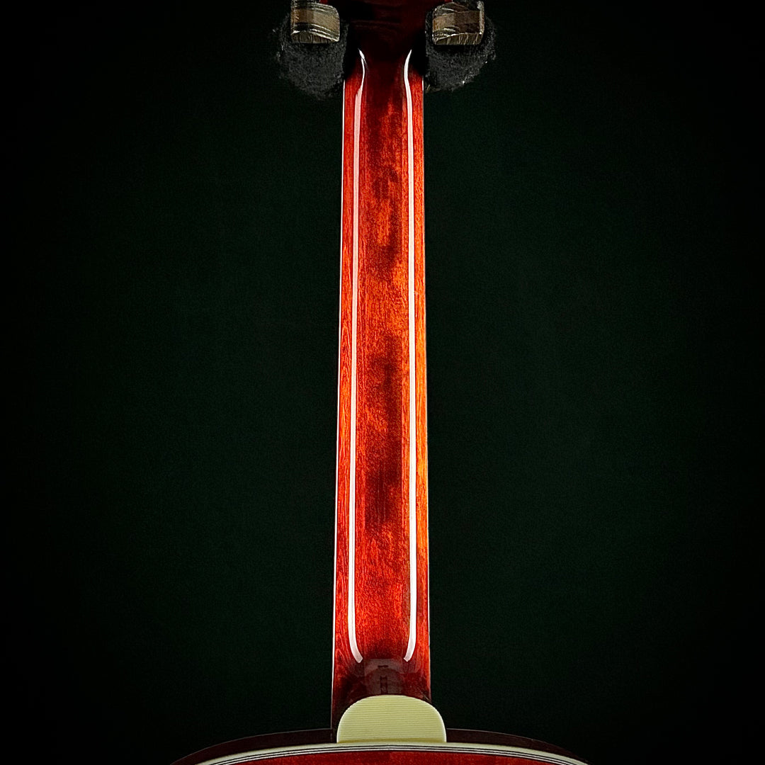 Eastman MDC805 - Mandocello