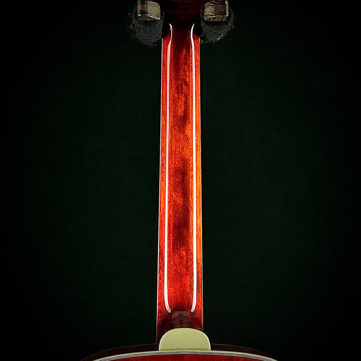 Eastman MDC805 - Mandocello