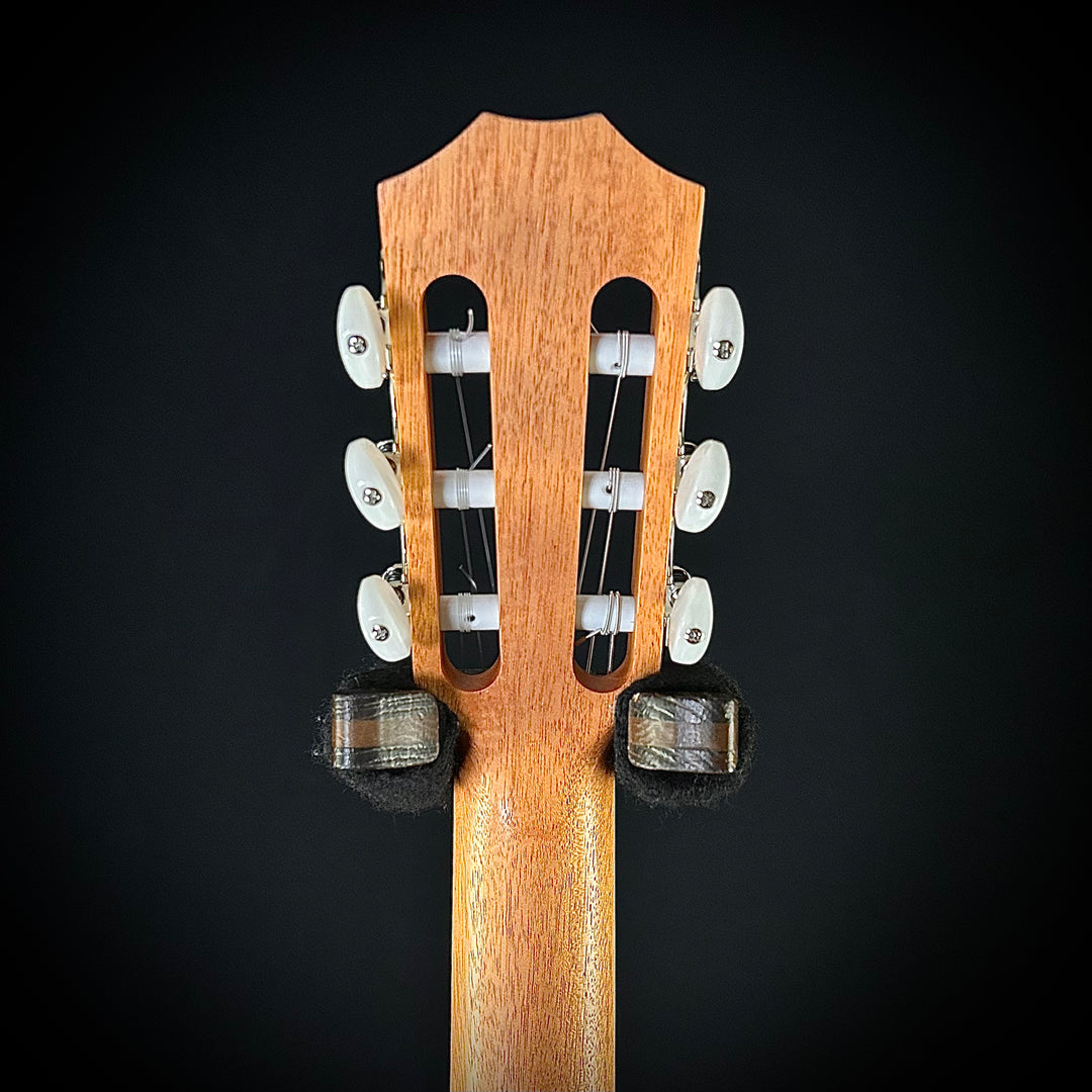 Taylor Academy 12e-Nylon