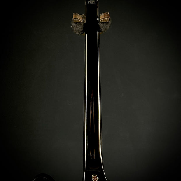 Epiphone Rex Brown Thunderbird Bass