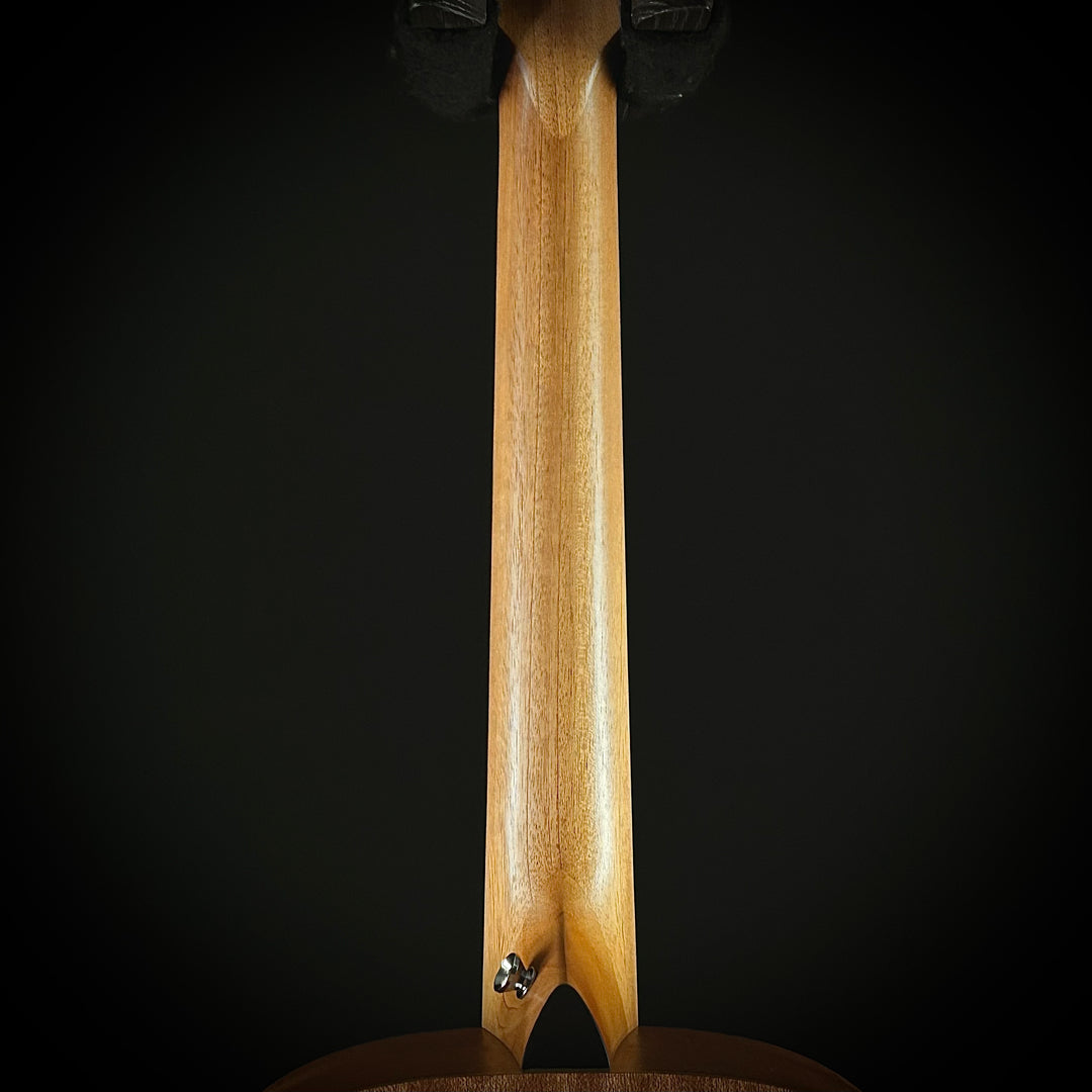 Taylor GS Mini - Mahogany