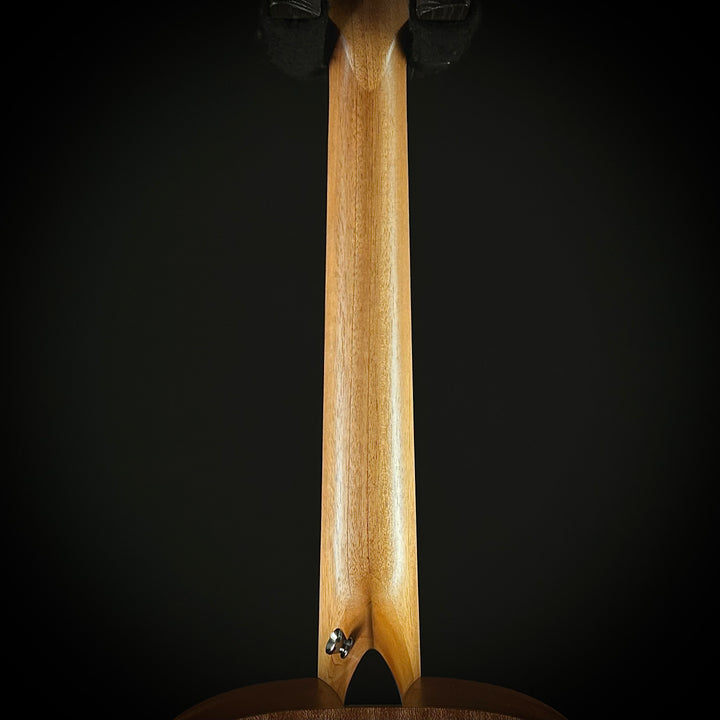 Taylor GS Mini - Mahogany