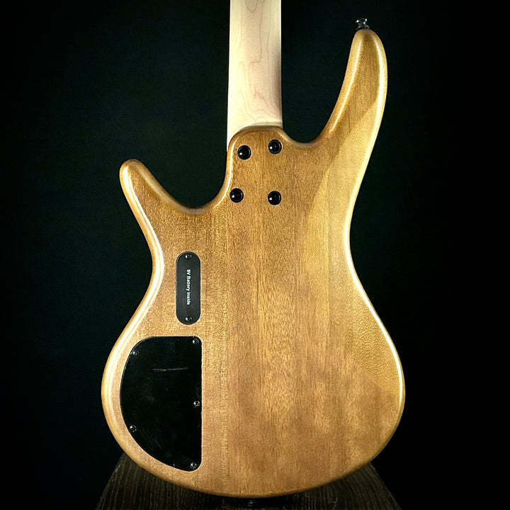 Ibanez GSR200BWNF