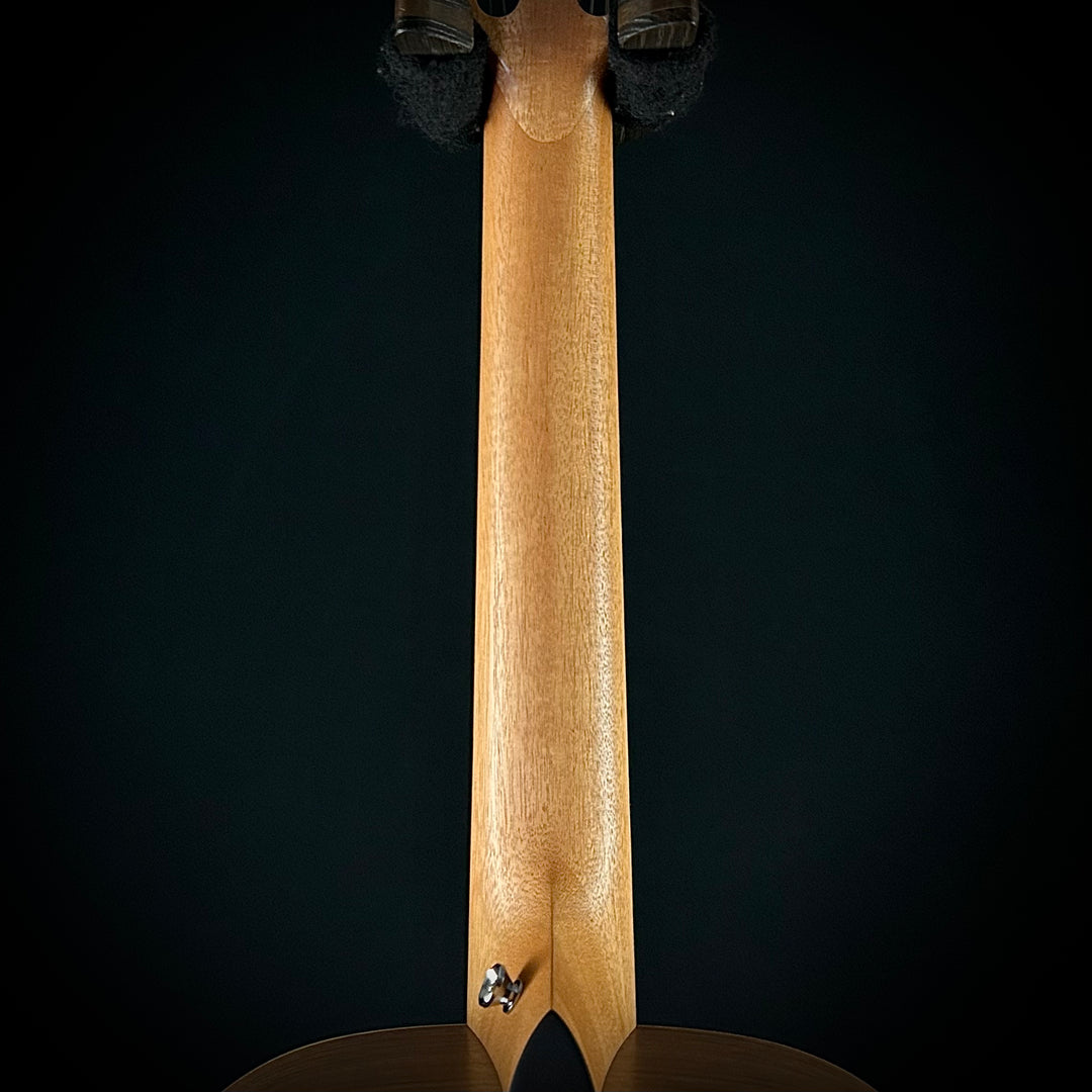 Taylor Academy 12e-Nylon