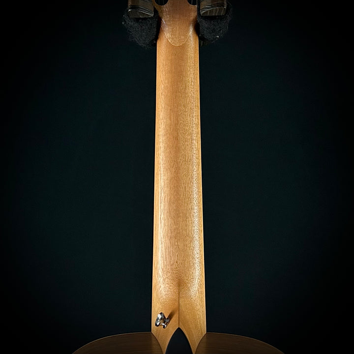 Taylor Academy 12e-Nylon