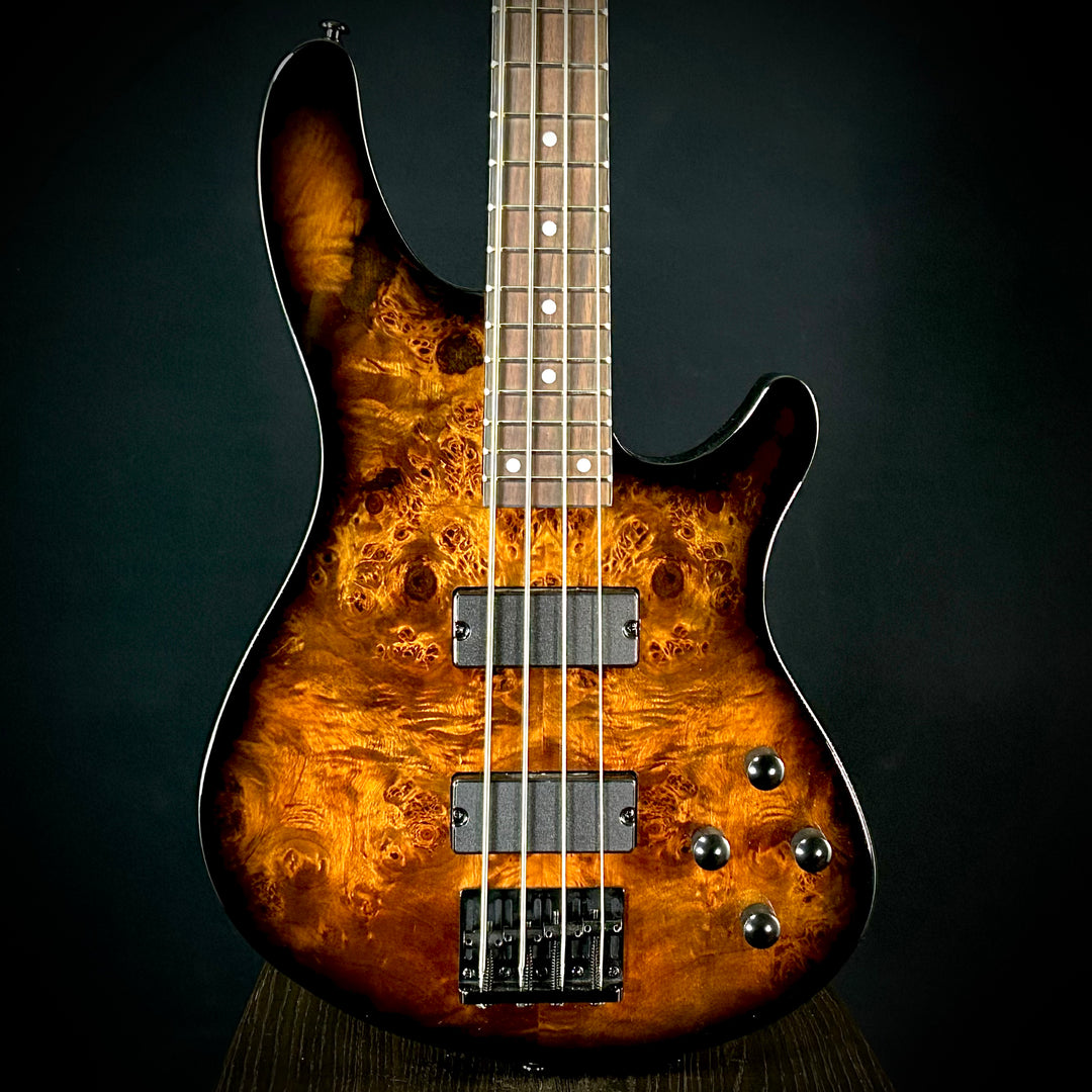 Schecter Basses – Music Villa MT