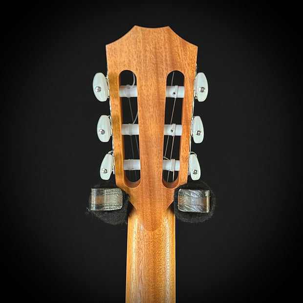 Taylor 214CE - Nylon