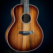Taylor K21e