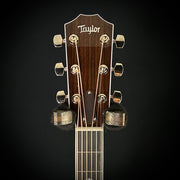 Taylor Legacy 810e