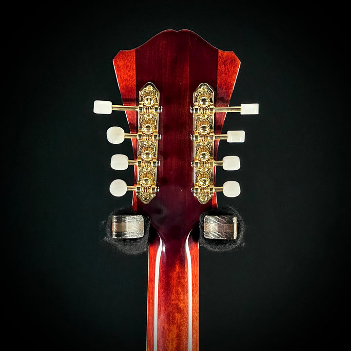 Eastman MDC805 - Mandocello