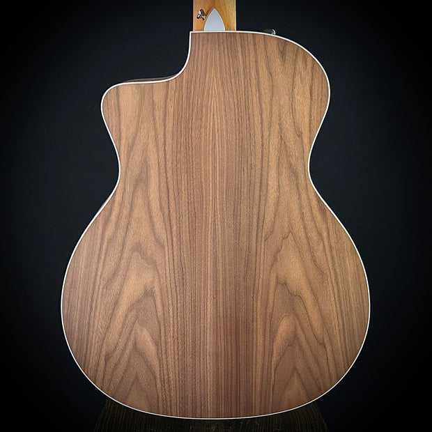 Taylor 214CE-Nylon