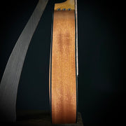 Taylor 110ce Sapele