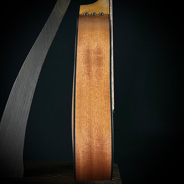 Taylor 110ce Sapele