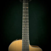 Taylor 214ce-Nylon