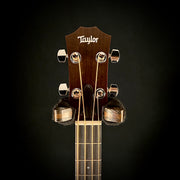 Taylor GS Mini-e Bass