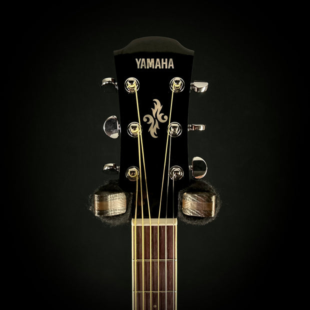 Yamaha APX600 FMAM