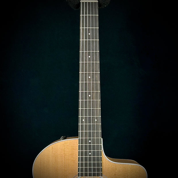 Taylor 214CE-Nylon