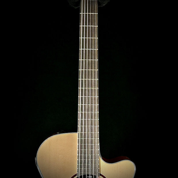 Yamaha NT-X1 Electric Nylon String - Slim Neck