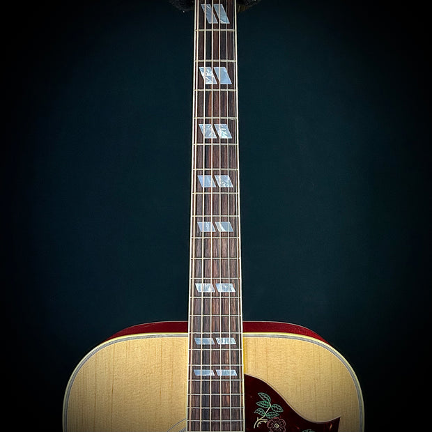 Gibson Dove - Original