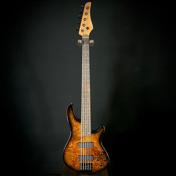 Schecter C-5 Standard