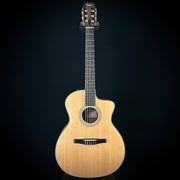 Taylor 214CE - Nylon