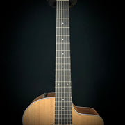 Taylor 214CE - Nylon